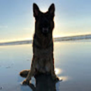 Meet your Posher, Logan